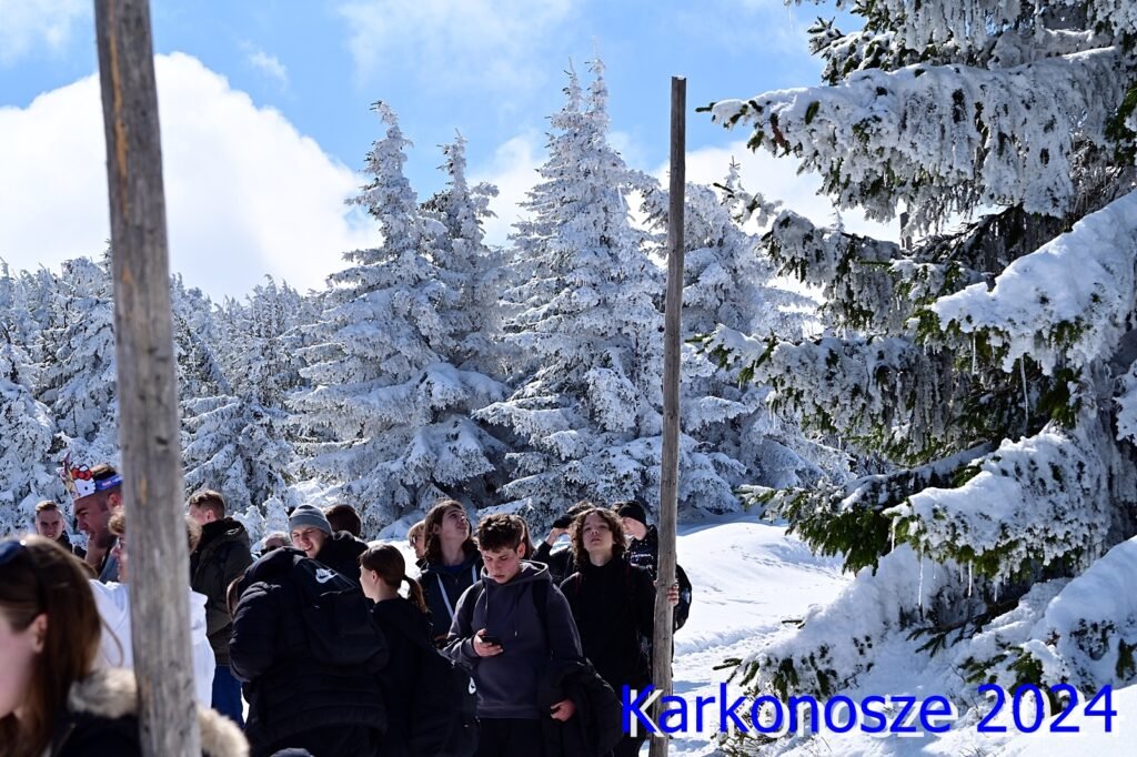 AGZ_0246