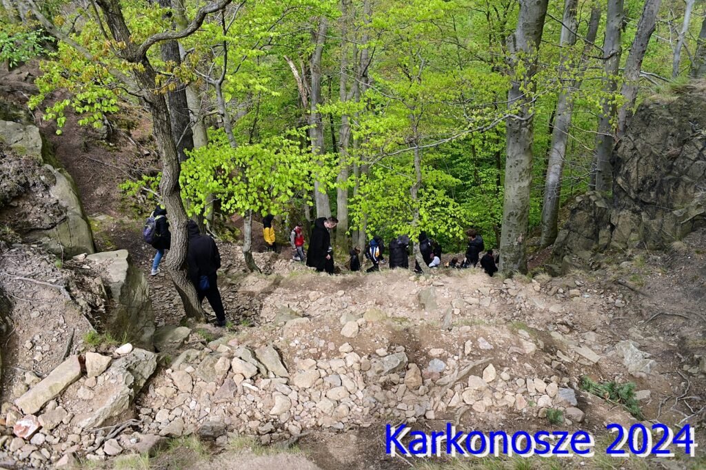 AGZ_0447
