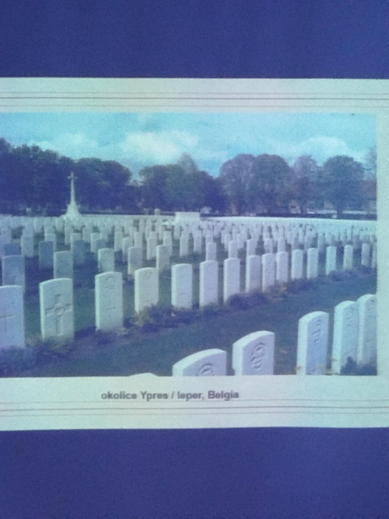 1000003555 (Na stronę)