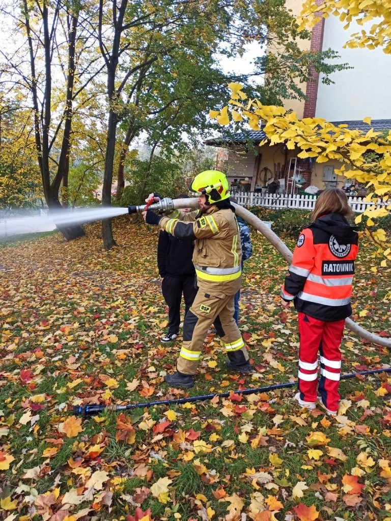 1762278899436 (Na stronę)