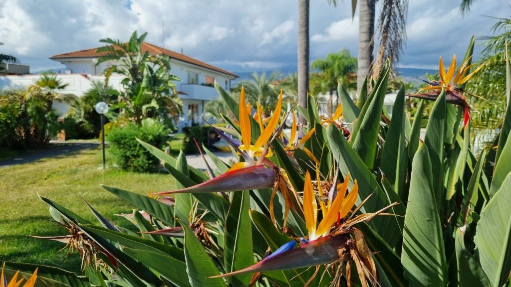 IMG-20251103-WA0009 (Na stronę)