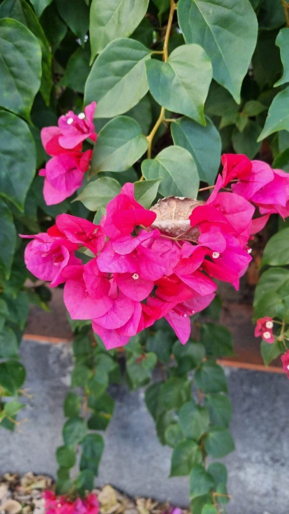 IMG-20251103-WA0011 (Na stronę)