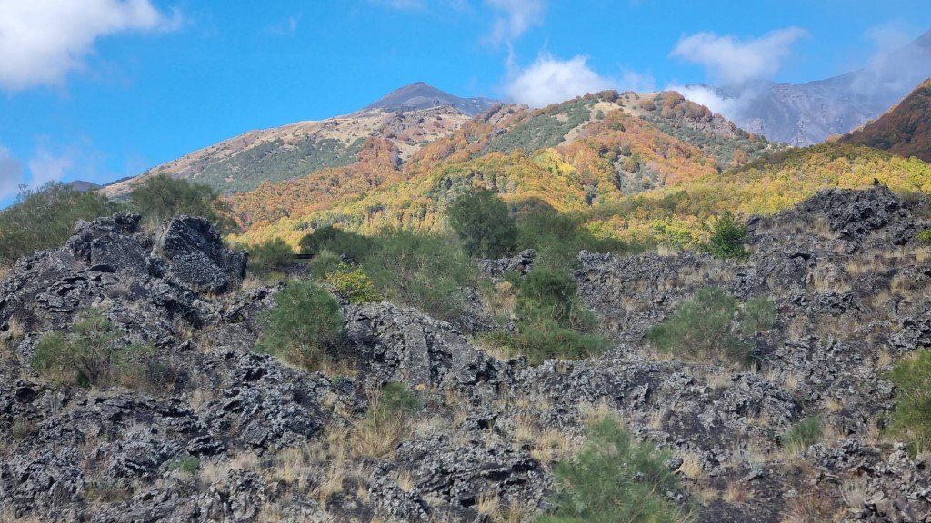 IMG-20251103-WA0021 (Na stronę)