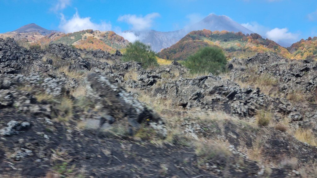 IMG-20251103-WA0022 (Na stronę)