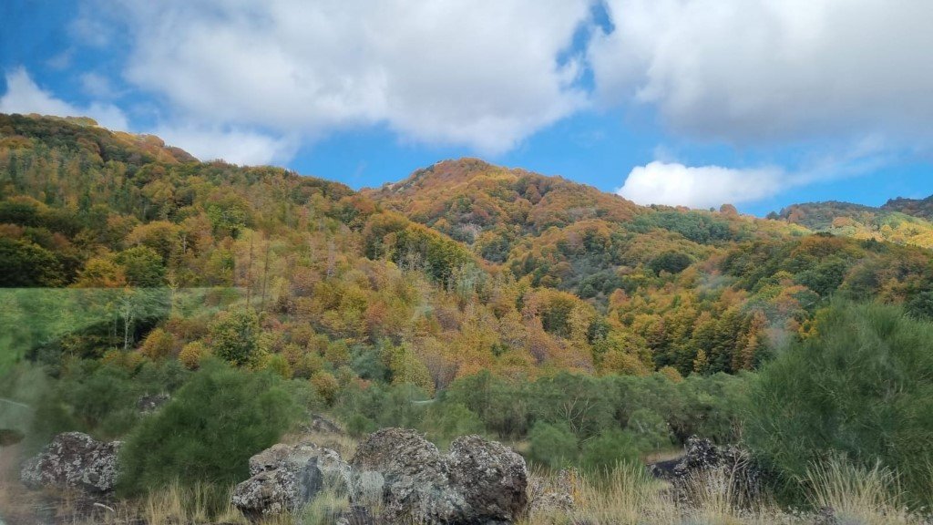 IMG-20251103-WA0033 (Na stronę)