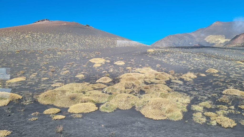 IMG-20251103-WA0034 (Na stronę)