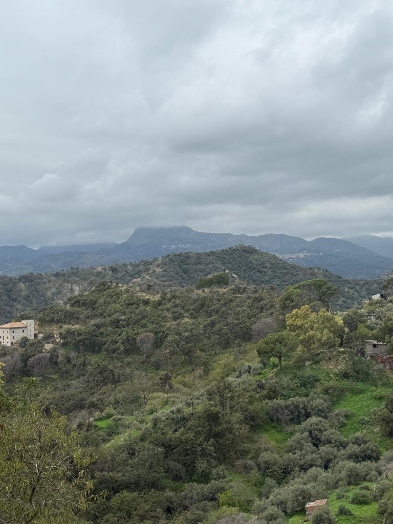 IMG-20251103-WA0069 (Na stronę)