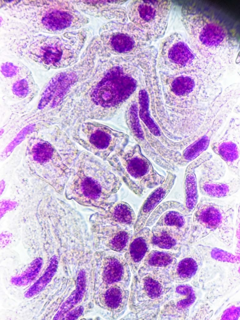 1 (19)